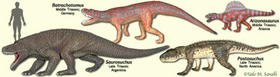210 milionów lat temu gigantyczne krokodyle polowały nawet na dinozaury