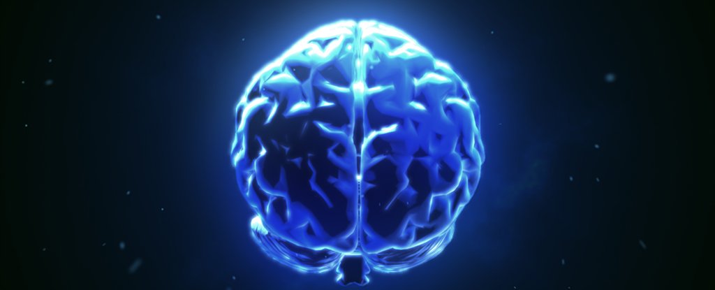 Naukowcy połączyli mózgi 3 osób, pozwalając im dzielić się myślami